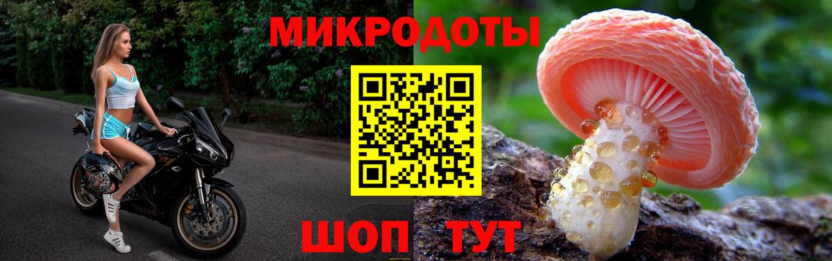 Галлюциногенные грибы Psilocybe Ярцево
